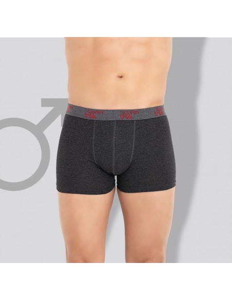 Boxeri Barbat Berfin Gri Inchis (M-L-XL-2XL)